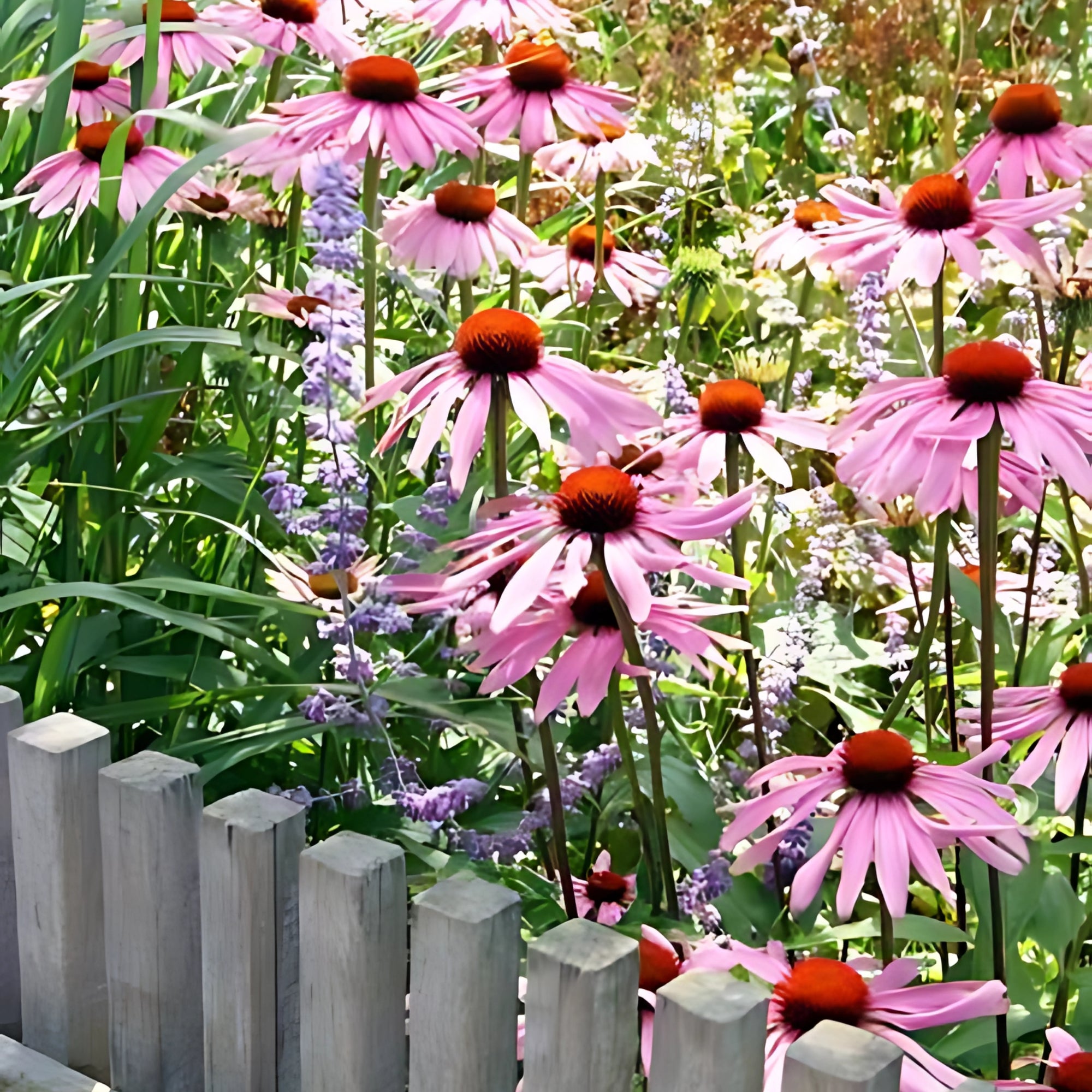Sfeerafbeelding van planten