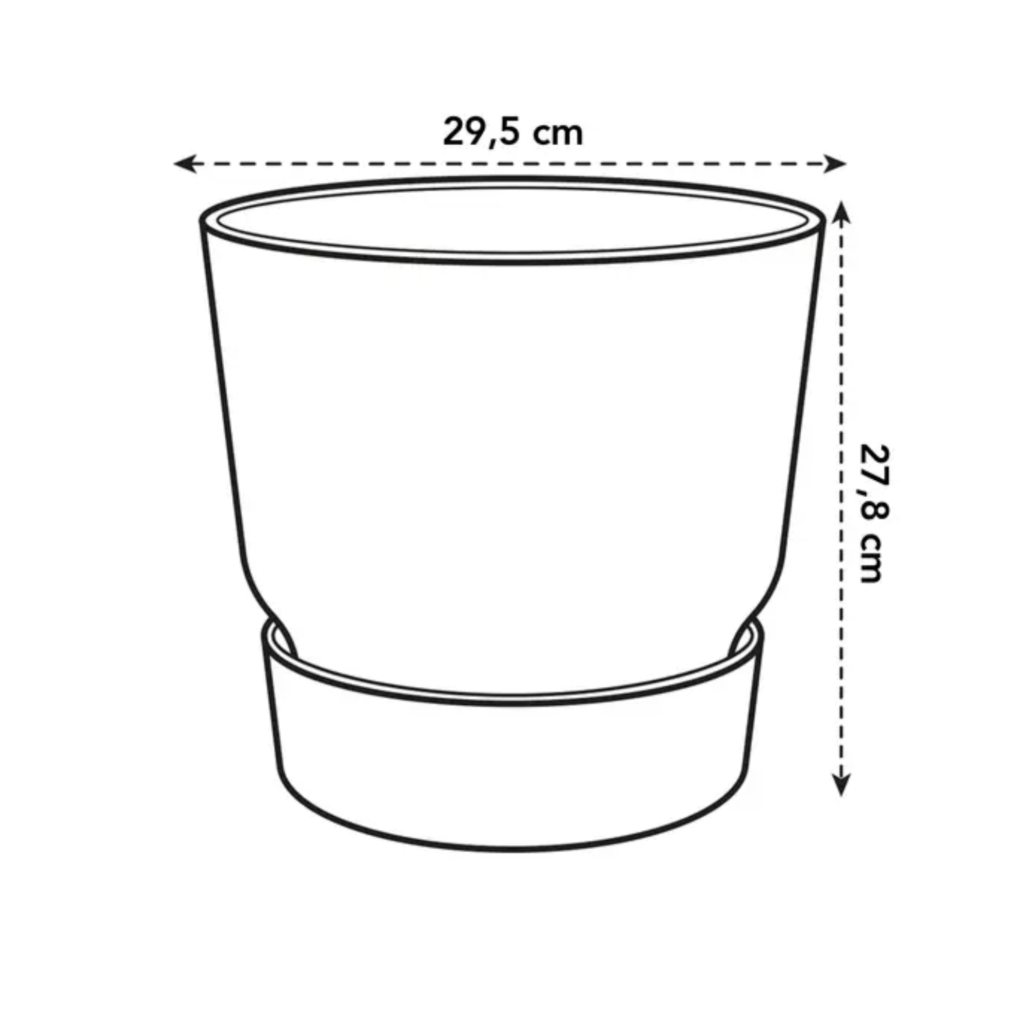 Kentia Palm ↕160cm - Ø30cm | Met ronde Elho Greenville pot - Wit