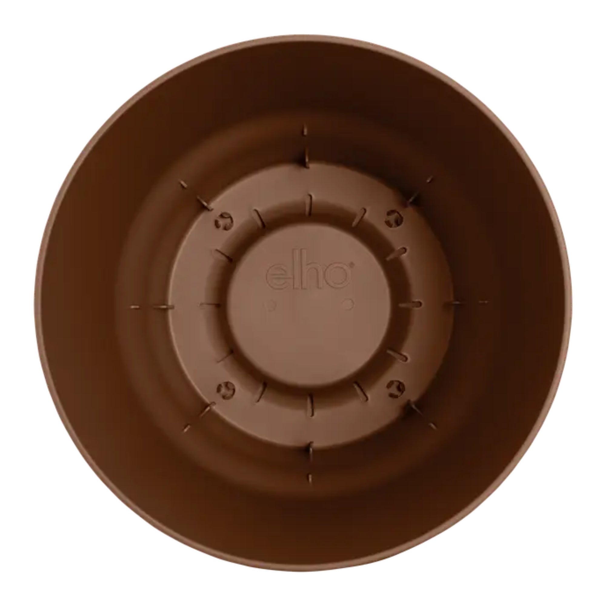 Kentia palm ↕160cm - Ø24cm | Met ronde Elho Greenville pot - Gemberbruin