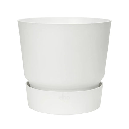 Kentia Palm ↕160cm - Ø30cm | Met ronde Elho Greenville pot - Wit