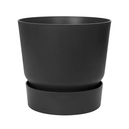 Kentia Palm ↕160cm - Ø30cm | Met ronde Elho Greenville pot - Living black