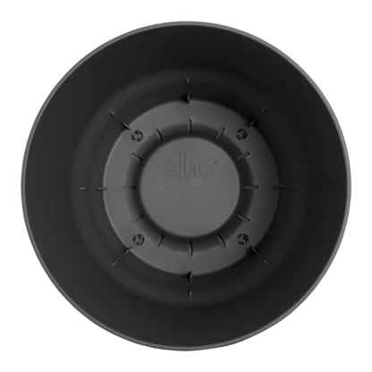 Kentia Palm ↕160cm - Ø30cm | Met ronde Elho Greenville pot - Living black