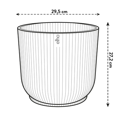 Kentia Palm ↕160cm - Ø30cm | Met ronde Elho Vibes Fold pot - Zijdewit