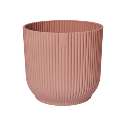 Kentia Palm ↕160cm - Ø30cm | Met ronde Elho Vibes Fold pot - Delicaat Roze